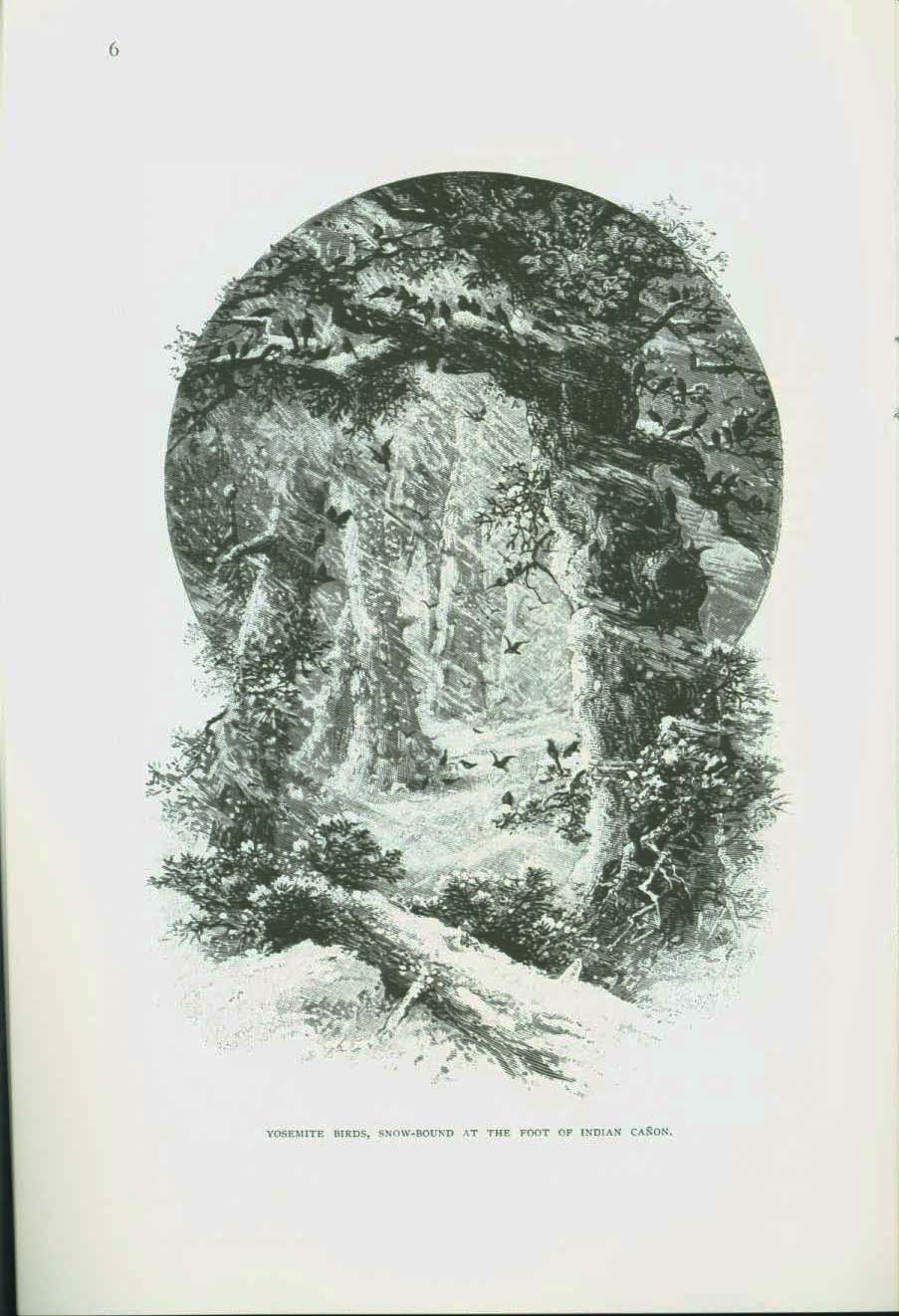 The Yosemite in Winter: an 1892 account. vist0053d